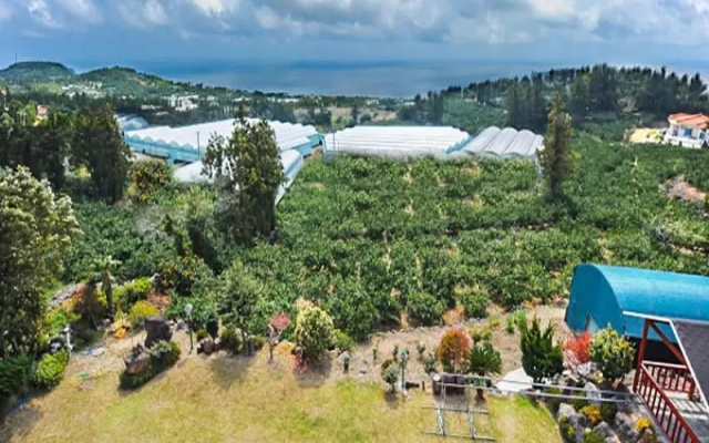 Blue Sky Pension Seogwipo