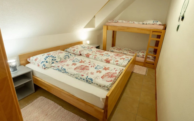 Apartments Laznica