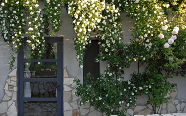 Agriturismo Arte et Agricoltura