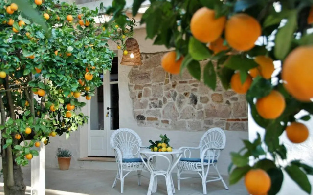 B&B Giallo Limone