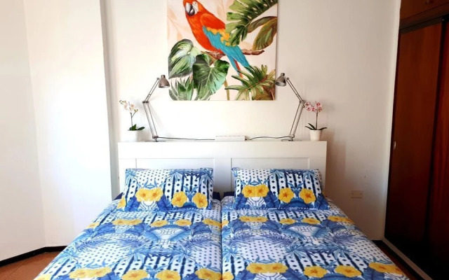 City Beach Home 51