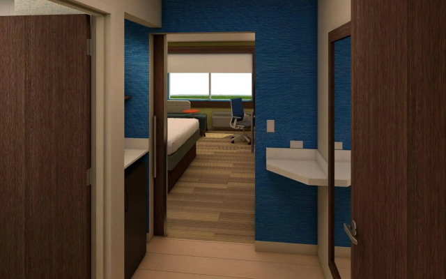 Holiday Inn Express & Suites Tampa East - Ybor City by IHG