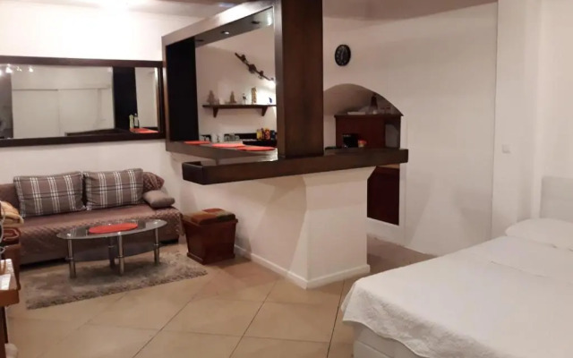 Studio Apartment Vukic