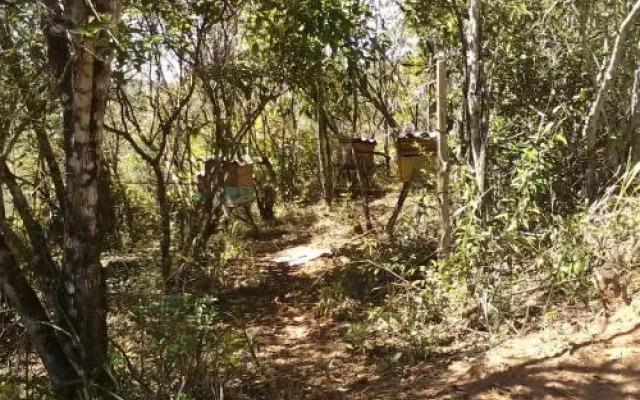 Casa Namastê