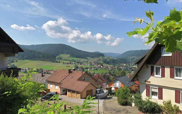 Panoramic-View Apartment In Baiersbronn With Garden