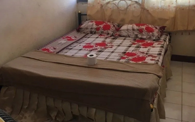 Mr.Jungle Trek House