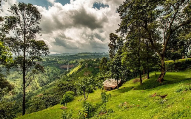 The Crows Nest - Sipi Falls