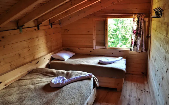 Tanevit Dag Evi