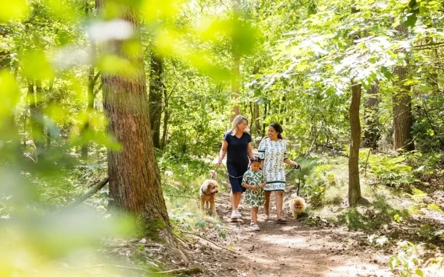 Peaceful Stay Near Trails