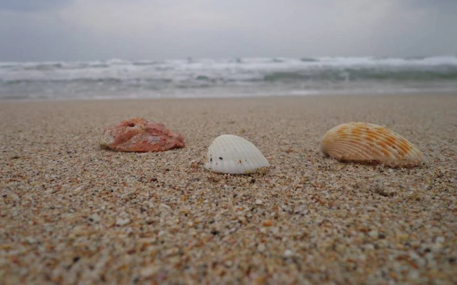 Carmel's Beach Resort