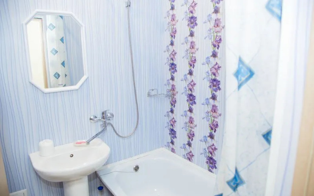 Mini hotel Bor