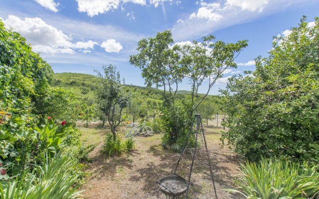 House Green Paradise