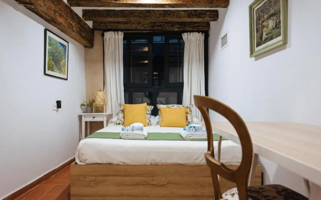 Casa Galera Historic Downtown Apartment in Seville