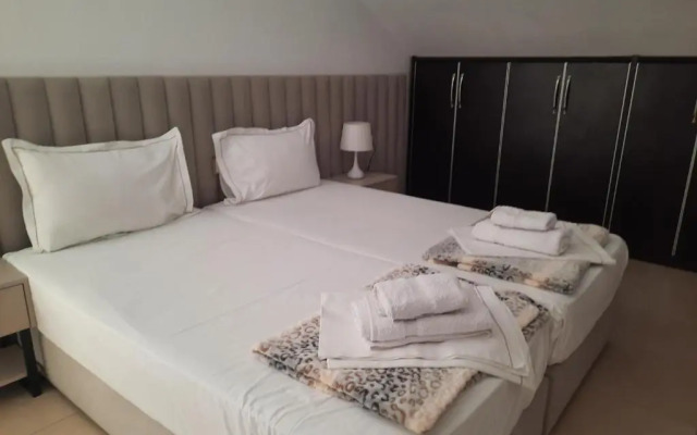 B&B Pelivani