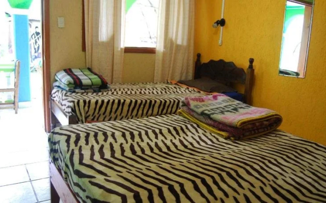 Iguana Hostel