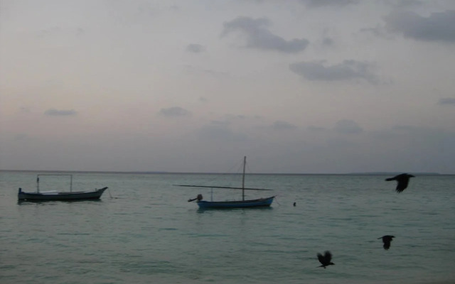 Tropical Lodge