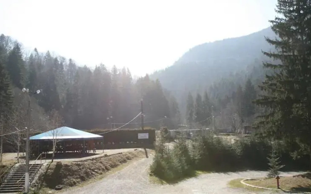Pension Floarea Reginei