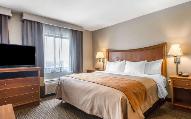 Comfort Inn South - Springfield