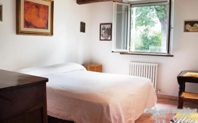 B&B Alce