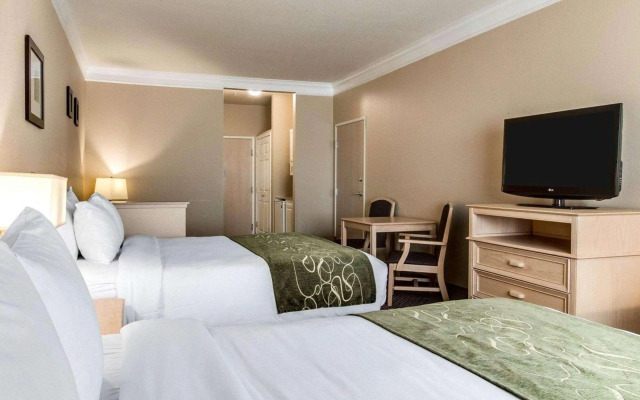 Comfort Suites Kingwood Houston North