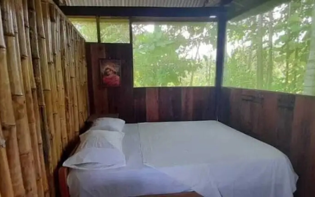 Centro espiritual luz del amazonas