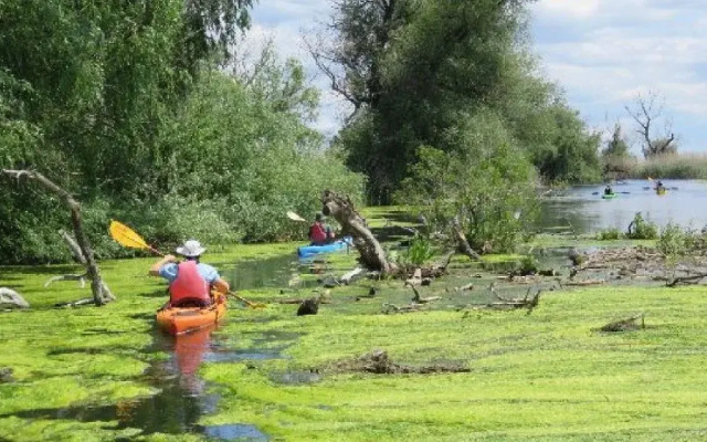 Excursii - Plecare din Sulina sau Sfantu Ghoerghe