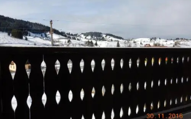 Hotel Bucovina