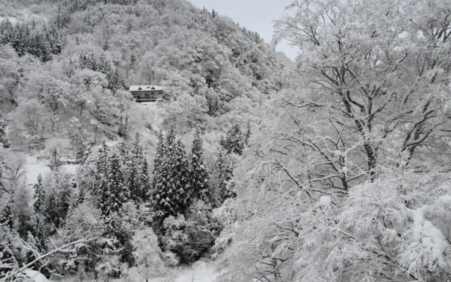 Sakamaki Onsen Kawatsuya