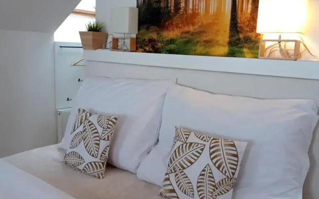 Apartmány Karlovický dvůr