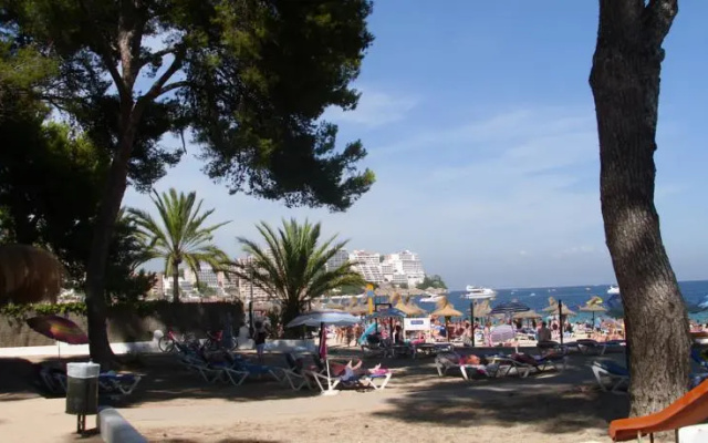 Apartamentos Montenova Playa