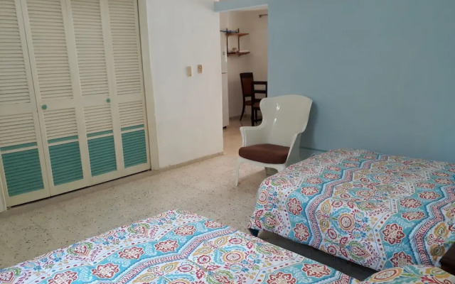 Casa MayaPlant