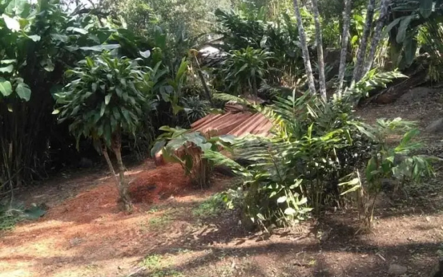 Nice House Natural