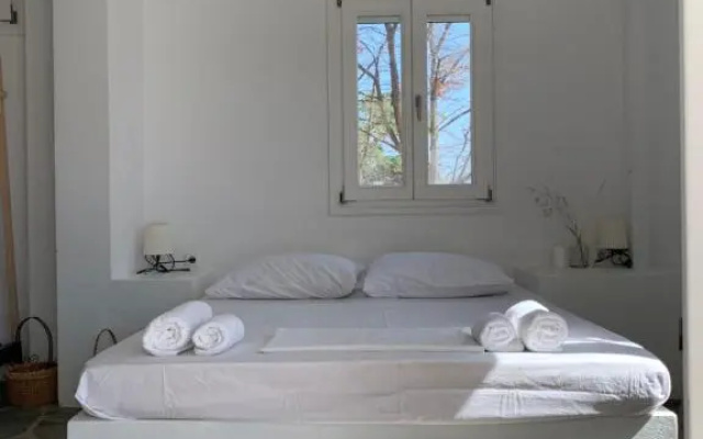 Summer Family Sea View Villa Antiparos