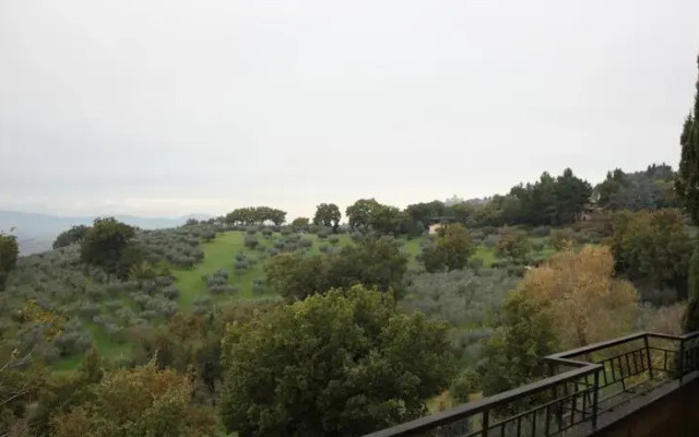 Assisi Relax