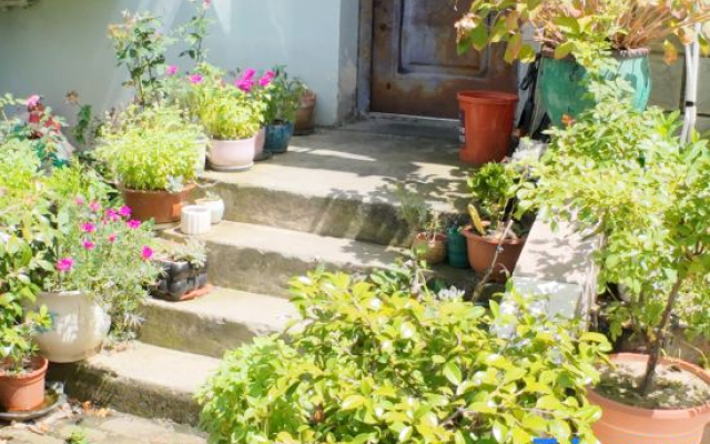 ShangHai Hanxiangya Guesthouse