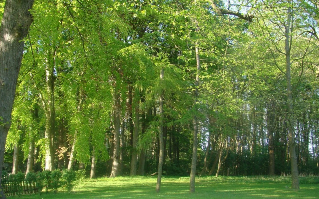 Ostsee-Gutshaus Bungalows