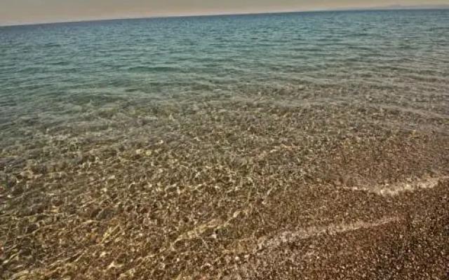 Assos Club Beyaz