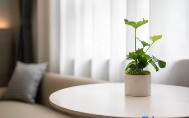 Homeinn Ease Hotel (Qufu Chunqiu East Road Sankong Store）