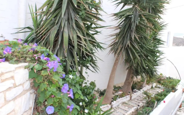 Studios Athina