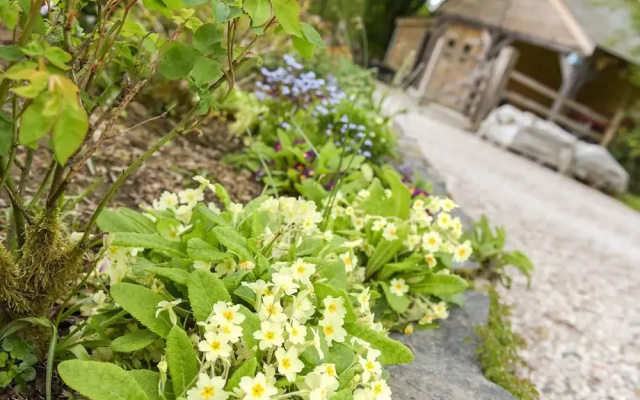 Mimi's Cottage