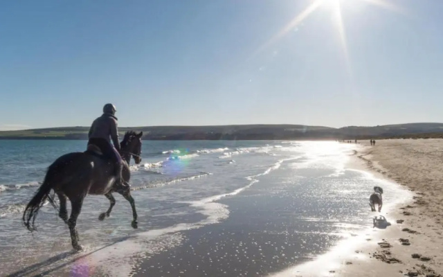 Seascapes, Sandbanks
