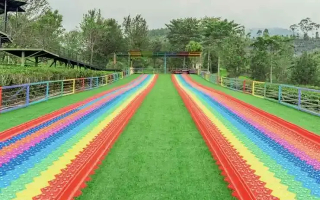Els's Resort Goalpara Tea Park