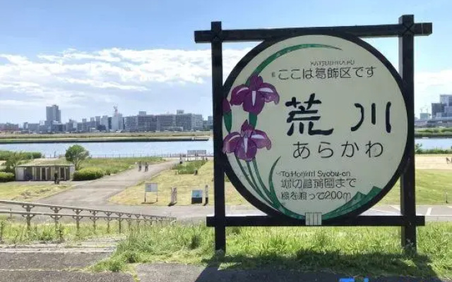 Nagomi An