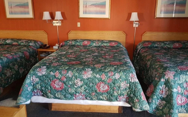 Town Chalet Motel