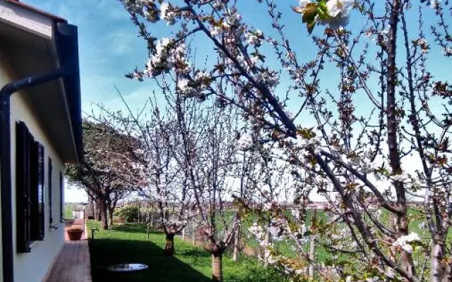 Agriturismo I Debbi