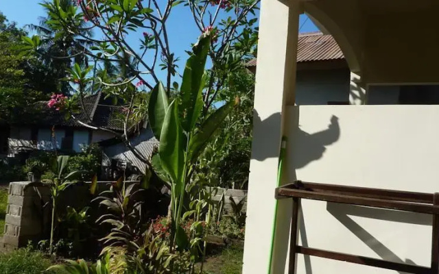 Ice Guesthouse