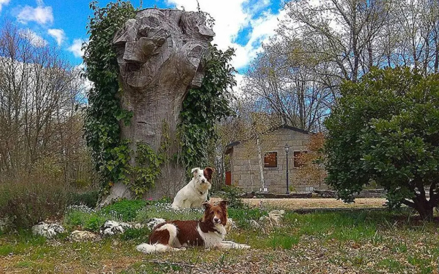 Cabañas Vallecino