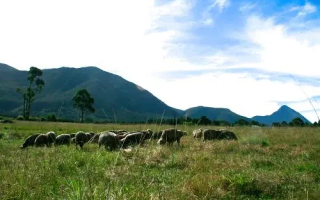 Love Earth Farm