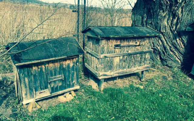Apartamenty i Pokoje Aneta