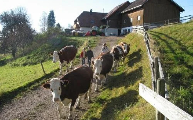 Ferienbauernhof Büchele